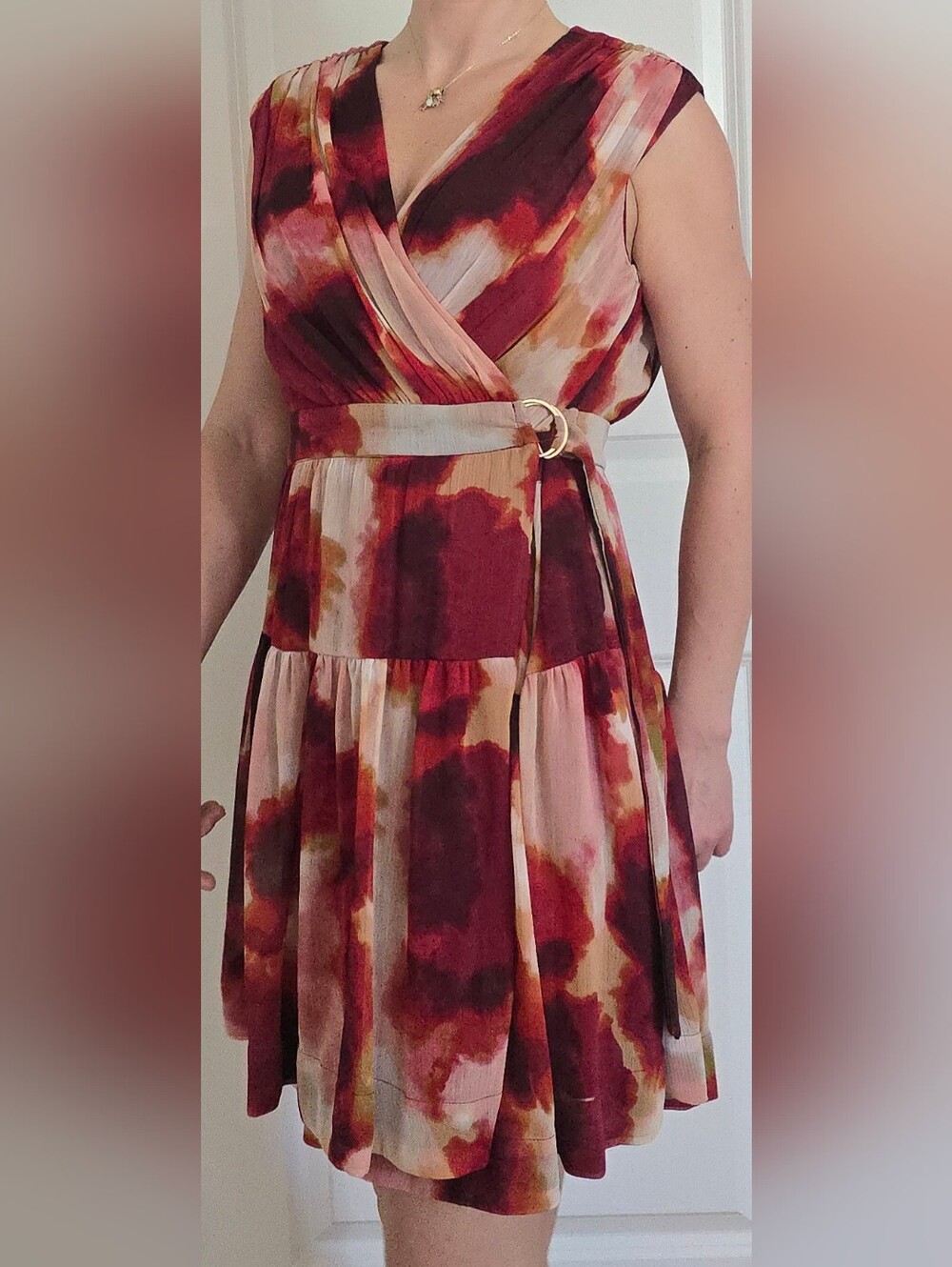 Taylor Sleeveless V-Neck Tie-Detailed Dress in Burgundy & Blush, L - Picture 2 of 16